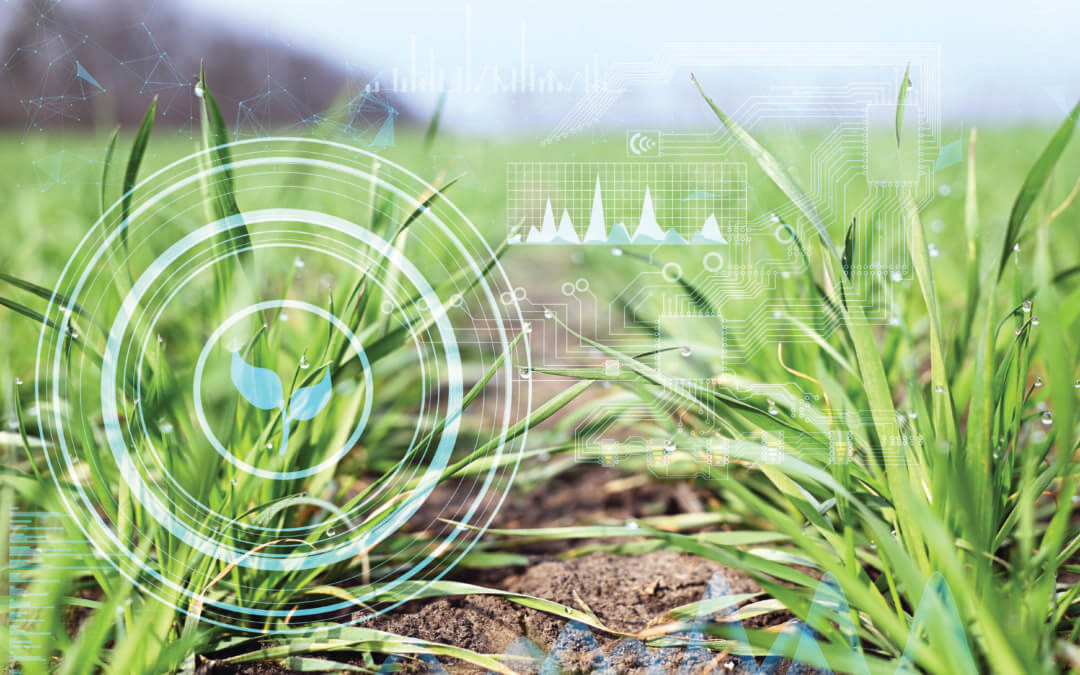 Catalytic Themes  to Watch in AgTech and Agribusiness for 2024