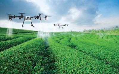 Iowa Field Report: The Role of Drones in Modern Agriculture